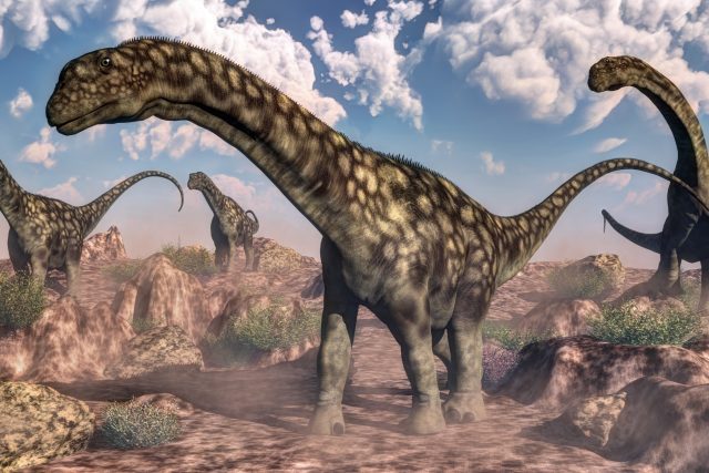 Argentinosaurus je největším dinosaurem,  jehož kosti lidé dosud objevili. Na obrázku je rekonstrukce,  jak asi mohl vypadat | foto: Shutterstock