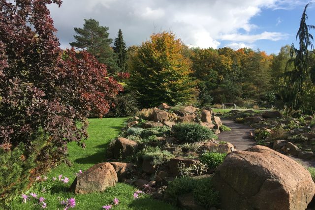 Kdo si chce v těchto podzimních dnech trochu zlepšit náladu,  může zajít třeba do botanické zahrady v Teplicích | foto: Gabriela Hauptvogelová,  Český rozhlas