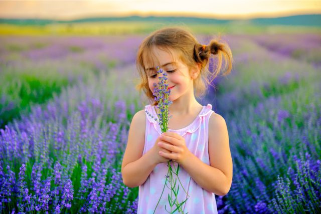 Dívka s levandulí  (ilustr. obr.) | foto: Shutterstock