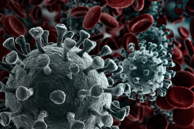 Kdy bude vakcína proti koronaviru? | foto: Shutterstock