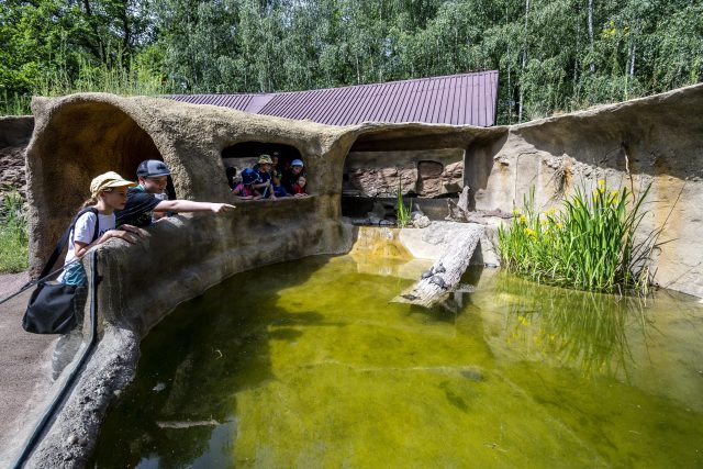 Zoopark Chomutov | foto: Ondřej Hájek,  ČTK