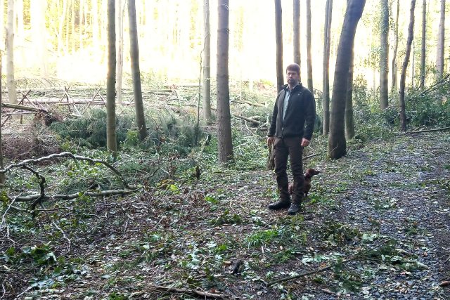 Lesní správce Aleš Kilb zjišťuje škody v Křižanovském údolí na Teplicku | foto: Jana Vitásková,  Český rozhlas