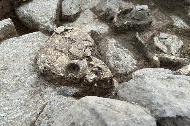 Archeologové u Lovosic našli pravěké sídliště i bohatě vybavené hroby | foto: Lucie Heyzlová,  Český rozhlas