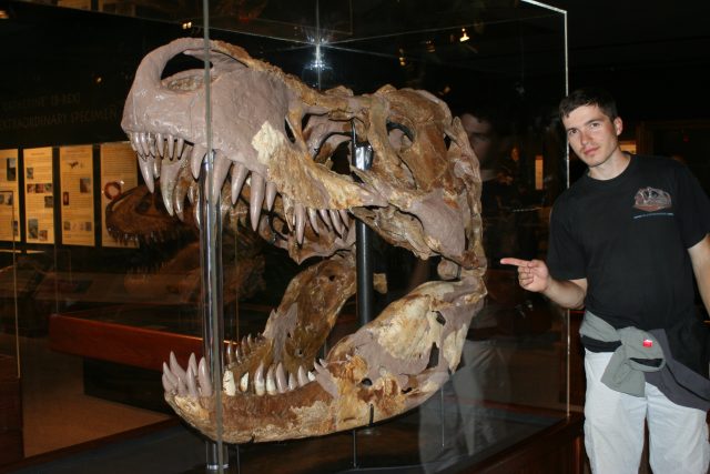 Mgr. Vladimír Socha u největší lebky Tyranosaura rexe | foto: Daniel Madzia