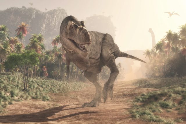 Tyrannosaurus rex | foto: Shutterstock