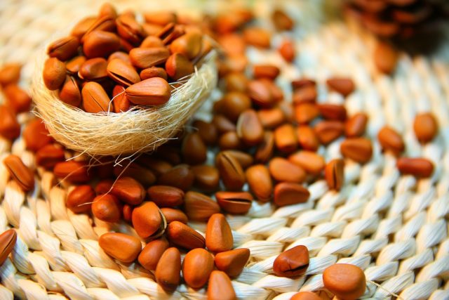 Piniová semínka,  tzv. piniové oříšky | foto: Pixabay