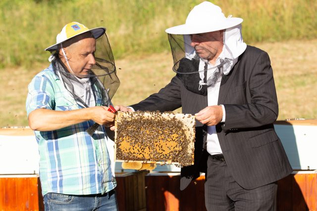 Včelař Augustin Uváčik s prorektorem pro rozvoj a kvalitu UJEP Jaroslavem Zukersteinem | foto: Josef Růžička