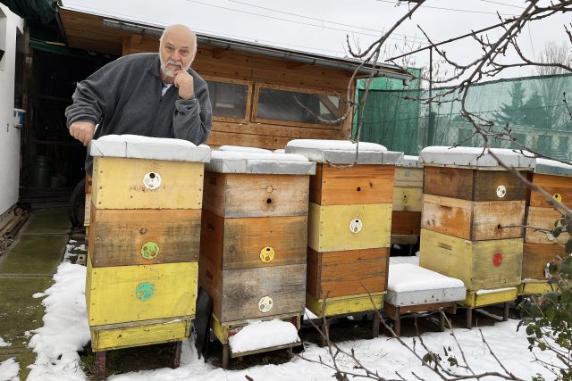 Evžen Báchor u svých úlů | foto: Jitka Slezáková,  Český rozhlas
