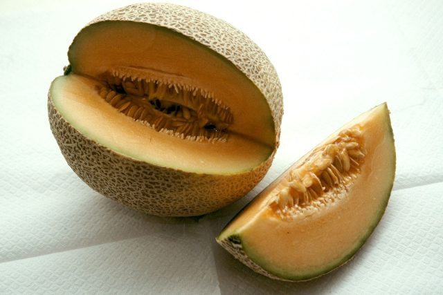 Meloun cukrový Cantaloupe | foto: Ivan Dvořák,  Časopis Zahrádkář