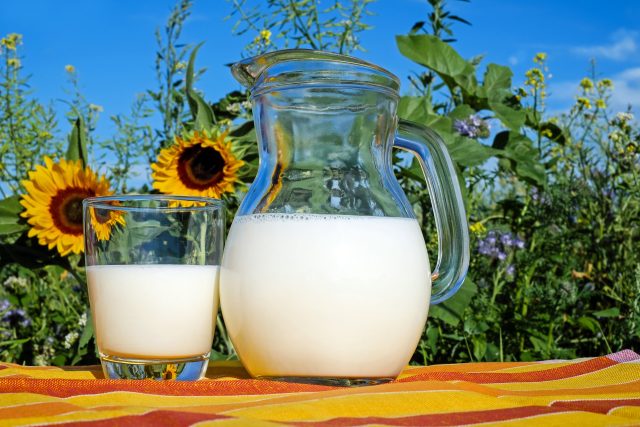Člověk si,  na rozdíl od jiných savců,  udržuje schopnost trávit mléko i v dospělosti  (ilustrační foto) | foto: Fotobanka Pixabay