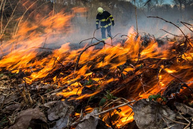 Požár lesa  (ilustr. foto) | foto: HZS Královéhradeckého kraje