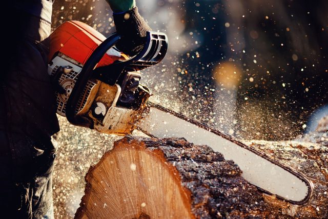 Dřevorubec při práci  (ilustr. obr.) | foto: Shutterstock