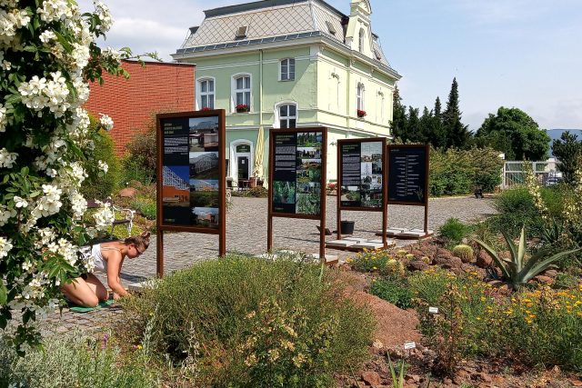 Botanická zahrada v Teplicích připravila venkovní výstavu o své historii | foto: Jana Vitásková,  Český rozhlas
