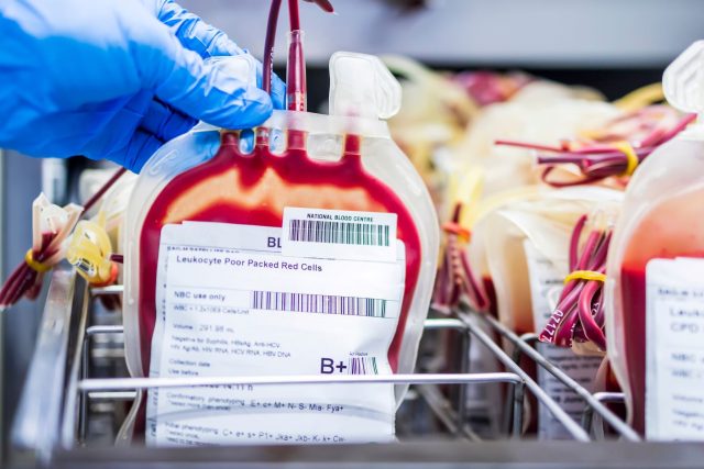 Krevní banka | foto: Shutterstock