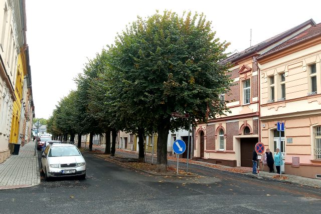 Louny,  Jeronýmova ulice,  lipové stromořadí chtějí místní zachránit | foto: Jana Vitásková,  Český rozhlas