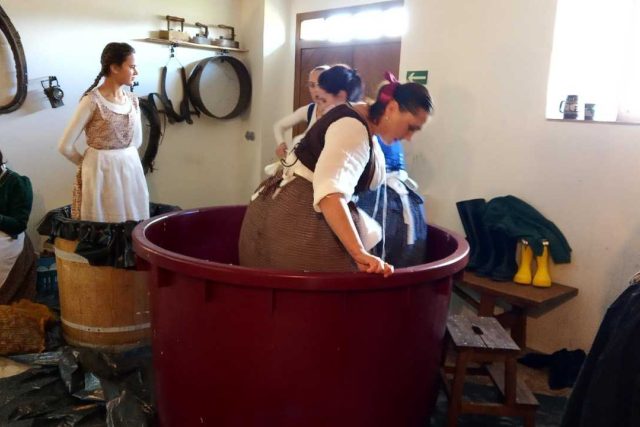 Lesenské šlapání zelí připomnělo starou krušnohorskou tradici | foto: Jana Vitásková,  Český rozhlas