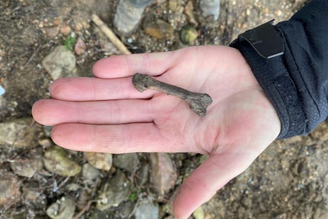 Právě nalezená kůstka v jednom z hrobů na dně Nechranické přehrady | foto: Lucie Heyzlová,  Český rozhlas