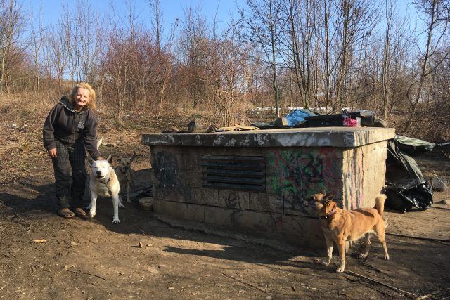 Do azylového domu paní Jitka se psy nemůže. Město jí chce pomoci půjčením tzv. iglú | foto: Gabriela Hauptvogelová,  Český rozhlas