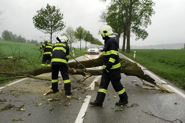 Hasiči likvidují strom spadlý přes silnici  (ilustr. foto) | foto: HZS Pardubického kraje