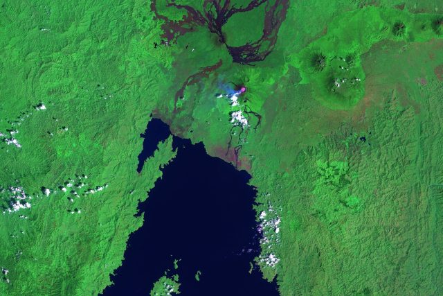 Severní část afrického jezera Kivu s městem Goma a kouřící sopkou Nyiragongo v Demokratické republice Kongo. Snímek sondy Landsat 7 ve falešných barvách | foto: NASA Earth Observatory,  Public domain