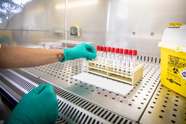 Laboratoř zpracovává testy na koronavirus | foto: Profimedia
