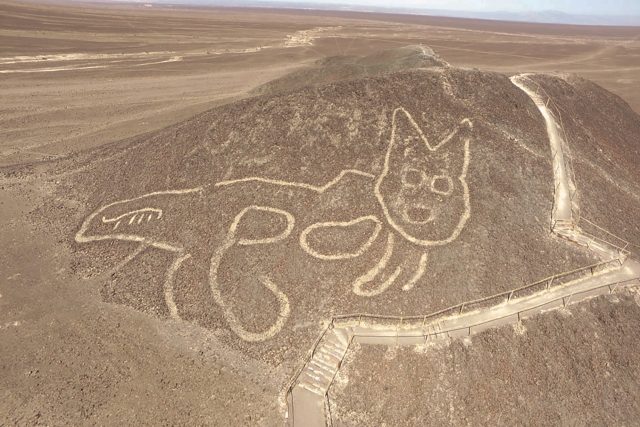 Jeden z dříve nalkezených geoglyfů na planině Nazca v Peru | foto: Profimedia / AFP PHOTO / PERU'S CULTURE MINISTRY