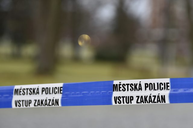 Páska městské policie  (ilustr. foto) | foto: Dalibor Glück,  ČTK