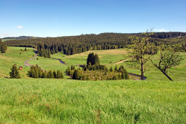 Říčka Černá v místě zaniklé obce Háje  (Zwittermühl),  Krušné hory | foto: Lubor Ferenc,  CC BY-SA 4.0