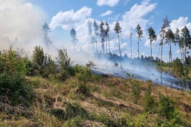 Požár lesa. Ilustrační foto. | foto: HZS Jihomoravského kraje