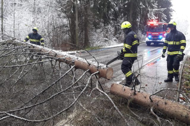 Hasiči likvidují strom spadlý na silnici  (ilustr. foto) | foto: HZS Libereckého kraje