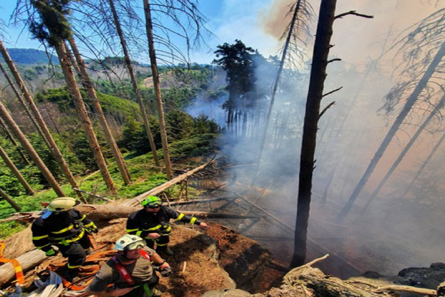 Požár v Národním parku České Švýcarsko | foto:  Hasičský záchranný sbor Úst. kraje,  Twitter