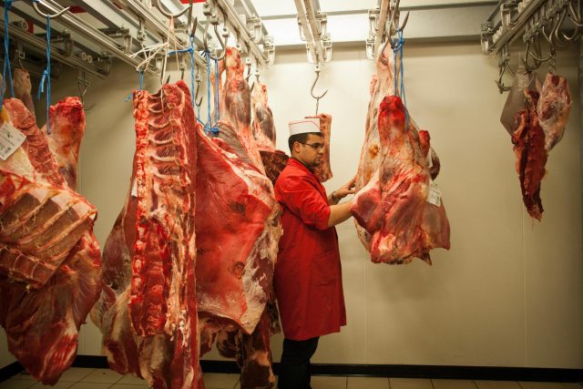 Uskladněné maso zbourané po halal porážce  (ilustrační foto). | foto: Profimedia